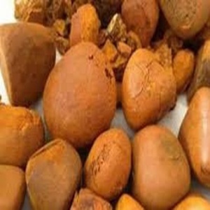 Top Grade Gallstones Protein at Bulk Sales - Product Image 1