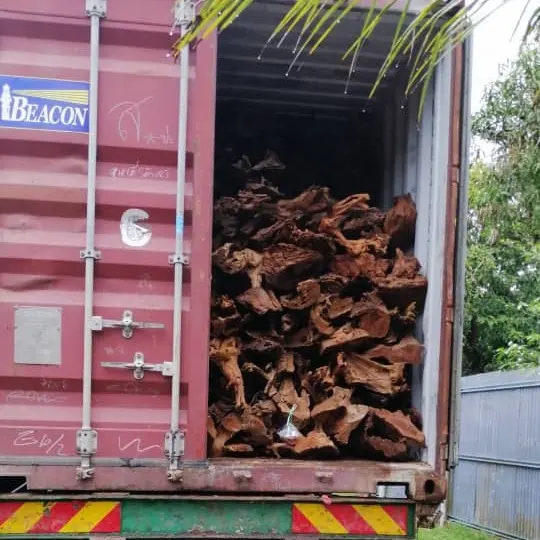 Schnell verkaufendes hohes starkes robustes Aquarium zubehör Feature Gewicht Herkunft Haustier Saison Typ Treibholz Made in Malaysia