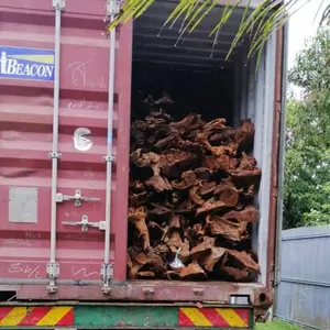 Aksesori Akuarium Kuat Kuat Penjualan Cepat Fitur Berat Asal Hewan Peliharaan Jenis Driftwood Buatan Malaysia Musim