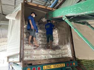 Textura dura de grano largo seco de arroz de jazmín blanco vietnamita de alto grado Póngase en contacto con la Sra. Quincy en + 84858080598 - Product Image 2