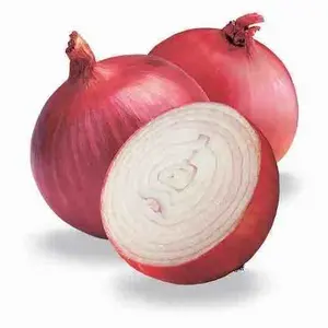 Bulk Organic Red/White/Yellow Onions For Sale / High quality fresh red market onion for sale price from Chinese factory