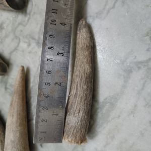 Puntas de Cuerno de Búfalo Talladas de Primera Calidad, Material Natural Ecológico para Manualidades, Joyería, Artesanía, Asas de Cuchillos - Product Image 2