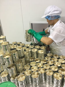 Rodajas de piña enlatada de Vietnam de calidad superior en almíbar ligero Cosecha fresca Fruta tropical jugosa empaquetada en lata para exportación - Product Image 3