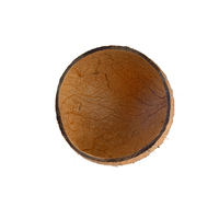 Ensemble de vaisselle en coquille de noix de coco naturelle et écologique - Bols ronds non polis pour fruits, desserts et usage domestique moderne