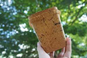 Pot de fleur de coco en fibre de coco de qualité supérieure 100% Pot de fleur de coco biodégradable écologique à bas prix prêt à expédier - Product Image 3