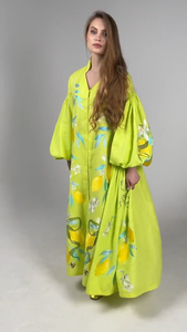 Lin de haute qualité luxe broderie artistique ancienne robe traditionnelle ukrainienne superbe belle robe longue de style Boho - Product Image 2