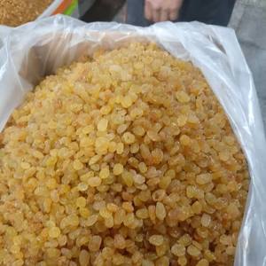 Pasas Sultana Amarillas Doradas al por Mayor en Cajas de 10 kg en Venta - Product Image 4