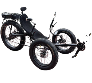 La Mejor Oferta, Bicicleta de Playa de 3 Ruedas para Adultos, Triciclo Eléctrico con Llantas Anchas, >800W 60V - Product Image 3