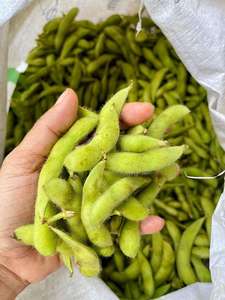 Meilleure vente de soja vert glacé-haute qualité et meilleur prix du Vietnam - Product Image 3