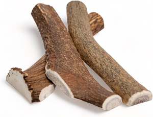 Cornes de cerf rouges propres pour usage cosmétique à prix économique - Product Image 3