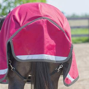 Indian Horsewear <span class=keywords><strong>Habanera</strong></span> affluenza 300gm smart - Product Image 3