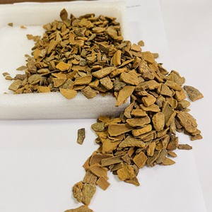 Canela superior Rota/Kurundu/ Gui Zhi-Excelente calidad, precio competitivo (WA: + 84362512699) - Product Image 6