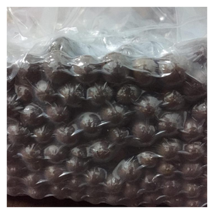 Noix de Macca du Vietnam Noix de Macca séchées à l'exportation avec huile riche et teneur en protéines Saveur naturelle Direct OEM Emballage personnalisé - Product Image 2