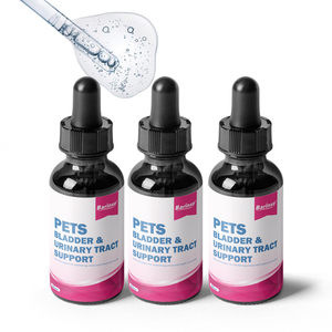 Suplemento Líquido de Arándano para el Tratamiento de Infecciones Urinarias en Perros y Gatos, Control de la Vejiga, Incontinencia, Apoyo Inmunológico - Product Image 1