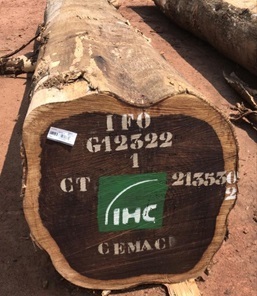 Grumes de bois wengé africain de qualité pour l'exportation - Product Image 3