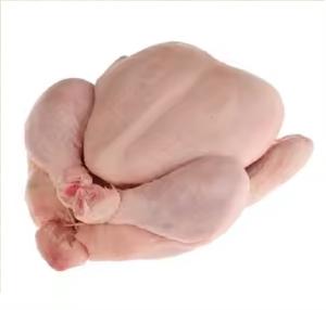 Pollo Halal Congelado Orgánico de Alta Calidad con Cafeína, envasado al vacío, con vitaminas, partes completas: Alas, Patas, Muslos, Cabeza y Cuello. - Product Image 3
