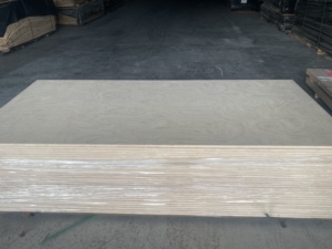 Ecológico, venta al por mayor, 9mm-18mm, diseño moderno, contrachapado, chapa de abedul E0, sin formaldehído, precio bajo para tableros de sofá - Product Image 4