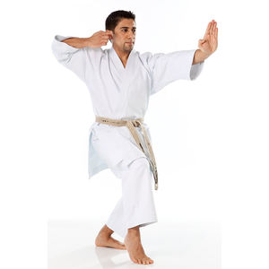 Uniforme de Karate hecho a medida de alta calidad, recién llegado, ropa de artes marciales, uniforme de Judo estilo Judo de bajo precio - Product Image 1