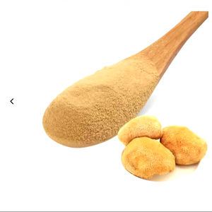 Poudre d'extrait de champignon biologique d'approvisionnement d'usine - Product Image 1