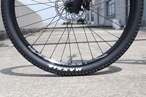 Bicicleta <span class=keywords><strong>de</strong></span> Montaña Rígida <span class=keywords><strong>de</strong></span> Fibra <span class=keywords><strong>de</strong></span> <span class=keywords><strong>Carbono</strong></span> 29er con Horquilla <span class=keywords><strong>de</strong></span> Suspensión <span class=keywords><strong>de</strong></span> Aleación <span class=keywords><strong>de</strong></span> Aluminio, Frenos <span class=keywords><strong>de</strong></span> Disco <span class=keywords><strong>de</strong></span> 12 Velocidades, Ligera, para Cross Country y Trail - Product Image 5