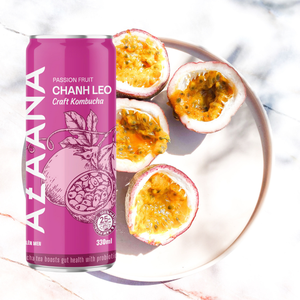 Boisson au thé Kombucha Top vente Sources de fruits de la passion d'emballages naturels en gros personnalisés fabriqués au Vietnam Fabricant - Product Image 4