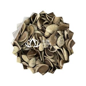 Coquille de Lotus Bleu, Coquille de Murex Operculum, Matériau de Qualité, Produit d'Extrait de Parfum, Meilleure Vente Thanh Hoa - Product Image 1