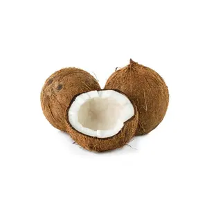 Goedkope Volwassen Kokosnoot Is Een Natuurlijke Materiaal In De Voedingsindustrie Om Producten Uit Vietnam