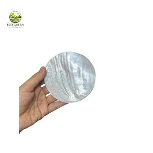 Assiette décorative ovale en nacre naturelle polie, plat en coquillage naturel, design rustique, écologique, plateau de service pour mariage - Product Image 1