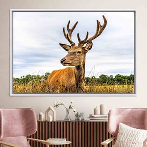 Tableau mural élégant sur toile avec motif cerf : design imprimé, décoration moderne, toile encadrée blanche - Product Image 1