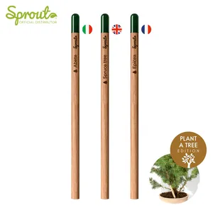 Penna Ecologica Promozionale con Seme Incorporato per la Coltivazione di Piante - Gadget Innovativo - Product Image 1