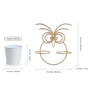 Exclusive 'Owl' Wall Planters for Indoor Home & Garden Wall Hanging <b>Pot</b> <b>Stand</b> for Balcony & Living Room Flower <b>Pot</b> <b>Stand</b> - Product Image 3