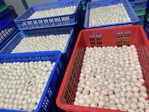 ลิ้นจี่แช่แข็ง | ผลไม้เมืองร้อนหวานจากธรรมชาติ | สินค้าจำนวนมากจากเวียดนาม - Product Image 6