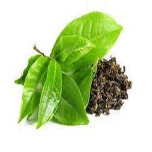 ขายร้อนกลิ่นหอมหวานอ่อนโยนอินเดียพิธีเกรดสารสกัดจากชาเขียวมัทฉะ - Product Image 3