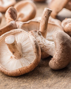 CHAMPIGNONS SHIITAKE SÉCHÉS DE HAUTE QUALITÉ FOURNITURE EN VENTE EN GROS - Product Image 3