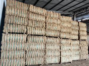 Matière première pas cher fibre de coco fibre de coco naturelle pour tapis de coco et bande de coco du Vietnam - Product Image 4