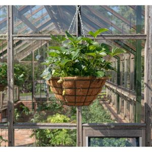 ตะกร้ามะพร้าวย่อยสลายได้ตามธรรมชาติทำจากใยมะพร้าวคุณภาพเยี่ยมสำหรับทำสวน - Product Image 1