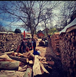 High Quality Grade a Soft and Hardwood Firewood <b>Oak</b>/Ash Kiln Dried. - Product Image 5