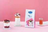 Poudre de yaourt spécialisée pour smoothies et shakes améliore la saveur avec une richesse crémeuse remplacement parfait pour le yaourt régulier