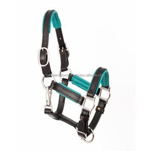 อุปกรณ์เสริมม้าคุณภาพสูงเชือกแขวนคอหนังแท้หนาสองเท่าพร้อมเบาะเทอร์ควอยซ์ระดับพรีเมียมและเย็บเต็มซัง - Product Image 4