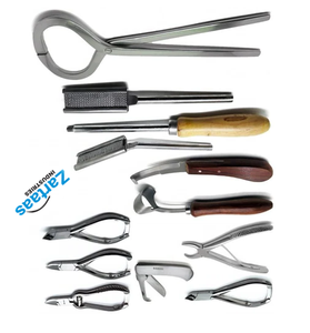 Fabricante y exportador de instrumentos quirúrgicos de instrumentos veterinarios de acero inoxidable de alta calidad - Product Image 3