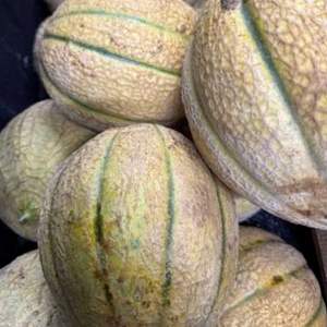 Melones Frescos Orgánicos, Proveedor Vietnamita de Primera Calidad, Excelente Empaque, Fruta Tropical de la Mejor Calidad con Sabor Dulce, Venta al por Mayor - Product Image 2