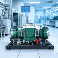 Compresor de Diafragma Refrigerado por Aire Sin Aceite de 350 a 700 Bares, Modelo para Energía Verde, Alimentado por CA 220V/380V