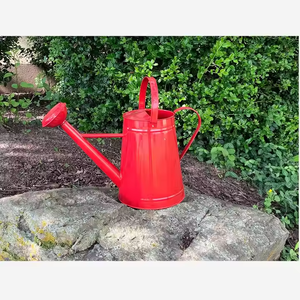 Arrosoir design avec une finition galvanisée et peinte bec à col de cygne facile à verser, parfait pour les plantes d'intérieur et d'extérieur - Product Image 4