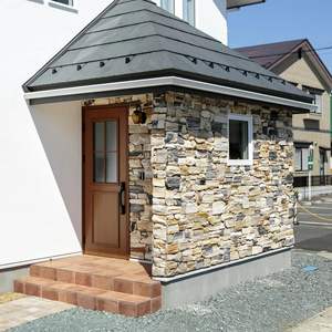 Bois pétrifié naturel décoratif durable moderne innovant pour le revêtement mural - Product Image 6