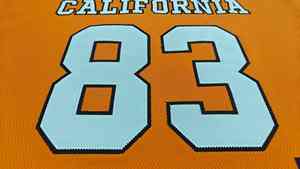 Ropa de calle personalizada a granel, camiseta de fútbol americano para mujer, diseño de Fans, bordado de malla, cosido, camisetas cortas de porristas - Product Image 2