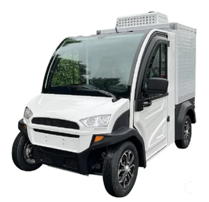Nuevo Carro Congelador Eléctrico Mini 2025 con 2 Asientos y Capacidad de Carga de 600 kg - Product Image 1