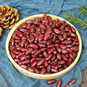 Frijoles Rojos Alemanes de Calidad, Color Rojo Natural, Alto Contenido de Fibra, 50% de Proteína, 10% de Humedad, 25 kg a Granel, Vida Útil de 2 Años - Product Image 3