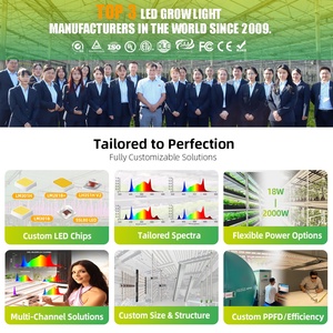 Mới Nhất Sinh Thái Thương Mại Trang Trại Tùy Chỉnh Mờ Bạch Tuộc 10 Thanh 1000W Làm Vườn Dẫn Y Tế Phát Triển Hệ Thống Ánh Sáng - Product Image 6