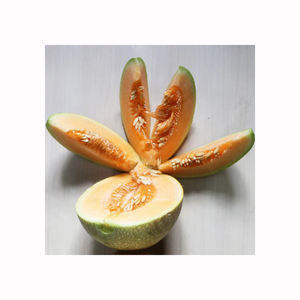 Melón musk fresco de alta calidad, dulce y fragante, fruta madura, distribuidores mayoristas a granel, suministro de productos tropicales - Product Image 2