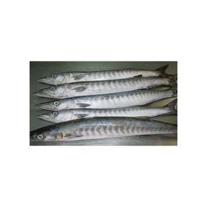 Offre à bas prix Poisson Barracuda congelé entier congelé - Product Image 3